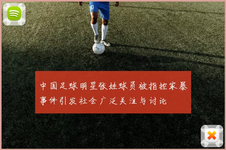 中国足球明星张姓球员被指控家暴事件引发社会广泛关注与讨论