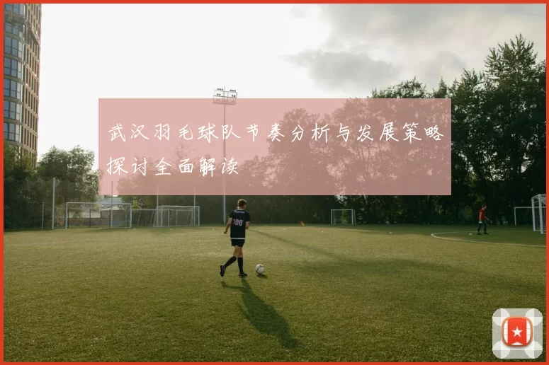 武汉羽毛球队节奏分析与发展策略探讨全面解读